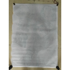 和歌山大学 Art diploma